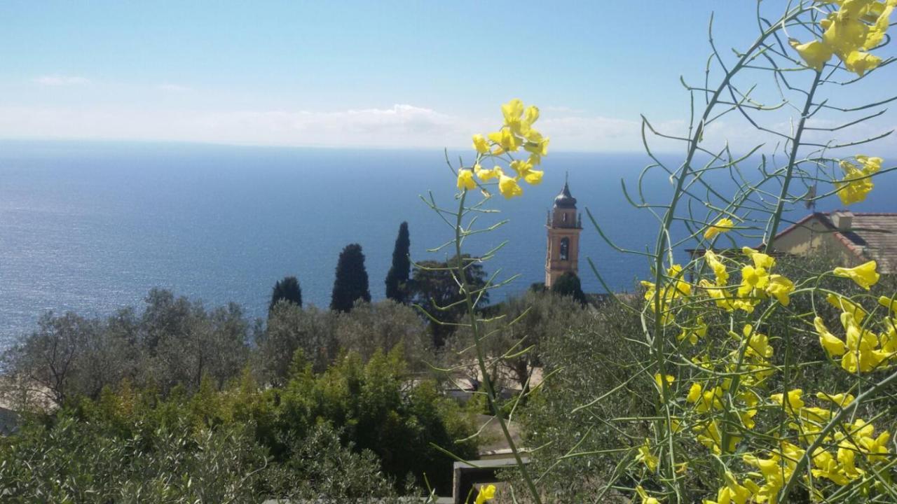 Bed and Breakfast Il Gabbiano Di Pieve Pieve Ligure Exterior foto