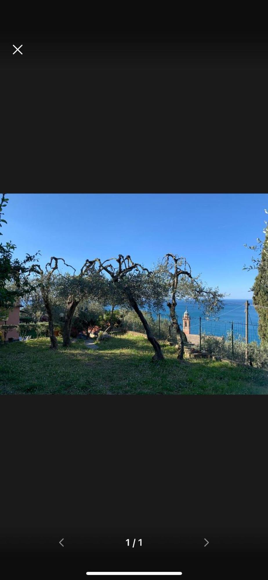 Bed and Breakfast Il Gabbiano Di Pieve Pieve Ligure Exterior foto
